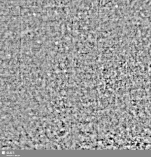 Lilienschild + IESV / LW = S.35/36