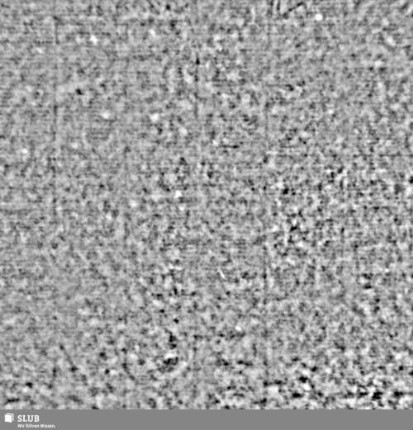 Lilienschild + IESV / LW = S.35/36
