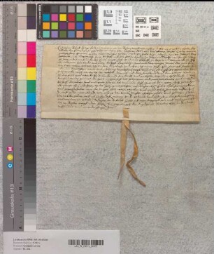 Revers des Knappen Rebock über die ihm vom Abt Kaspar von Corvey verliehenen Lehngüter in Albaxen, Stahle etc.