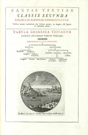 Partis Tertiae Classis Secunda. Cochleae Marinae Canaliculata