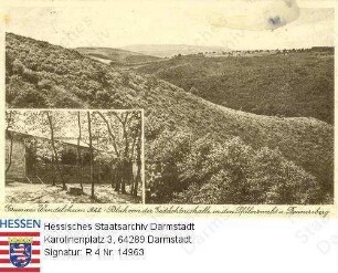 Wendelsheim in Rheinhessen, Blick von der Gedächtnishalle in den Pfälzerwald und auf den Donnersberg