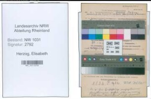 Entnazifizierung Elisabeth Herzog , geb. 00.00.0000 (Lehrerin)