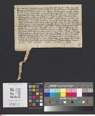 Steinheim: Consensus capituli Aschaffenburgensis et augmentatio prebende propter hospitalitem pro vicario in ecclesia parochiali in Steinheim