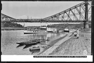 Dresden, Loschwitzer Brücke mit Elbdampfer Dresden