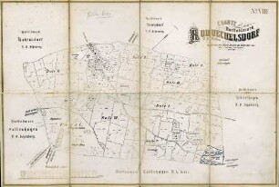 N° VIII; Charte von Dorffeldmark Roduechelsdorf