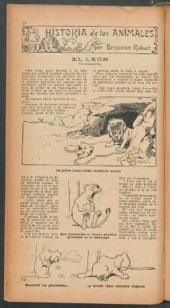 El león - (Continuación) : Historia de los animales