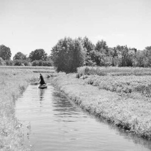 Trotzkefließ in Leipe. : Groble w Lipjem.