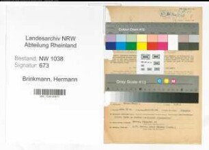 Entnazifizierung Hermann Brinkmann , geb. 05.11.1901 (Finanzbeamter)