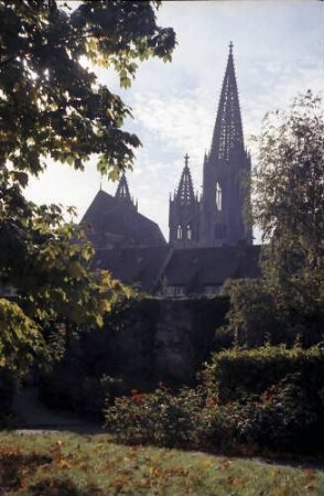 Freiburg: Münster vom Evangelischen Stift mit Herbstlaub