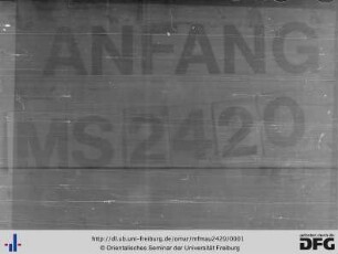 MF Mau 2420