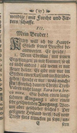 XII. Mein Bruder!