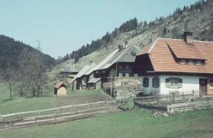 Feldberg-Altglashütten. Wohnhäuser
