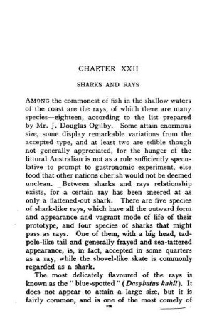 XXII. SHARKS AND RAYS