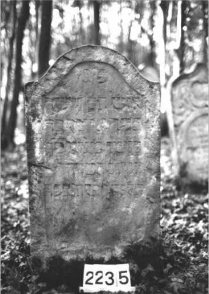 Grabstein 2235