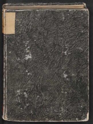 Marienleben : Ms. germ. qu. 13
