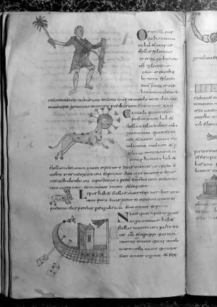 Isidorus Hispalensis, De natura rerum, Etymologiae (lib. 3, interpol.); Computus (1-72r); Isidorus Hispalensis, Sententiae (73v-93). — Sternbilder, Folio fol. 29v