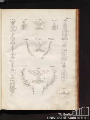 Pl. 33.