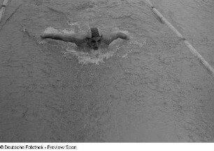 Schwimmer