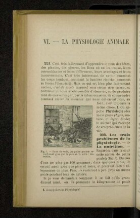 VI. - La Physiologie animale
