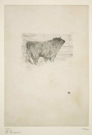 Le Taureau, Blatt 20 der Folge "Histoires Naturelles"