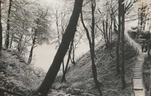 Rügen. Stubnitz. Aufgang zum Hengst