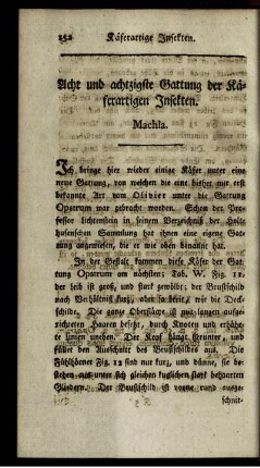 Acht und acthzigste Gattung der Käferartigen Insekten. Machla.