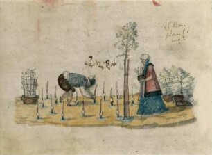 Gärtnerey, fol. 153r