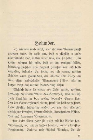 Holunder
