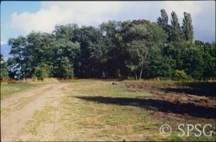 Potsdam, Park Sacrow, Verteilung von Kulturboden und geschreddertem Gehölzmaterials nahe der Fährstelle.