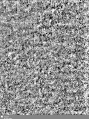 Lilienschild + IESV / LW = S.1/2
