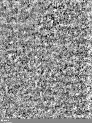 Lilienschild + IESV / LW = S.1/2