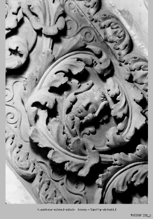 Porta dei Canonici : Ornamentiertes Gewände von Portal und Tympanon