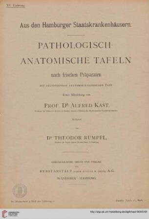 Heft 15: Pathologisch-anatomische Tafeln