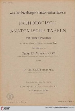 Heft 15: Pathologisch-anatomische Tafeln