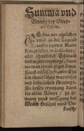 Summa und Bericht der Vierdten History.