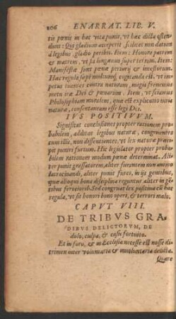 Caput VIII. De Tribus Gradibus Delictorum, De dolo, culpa, & causa fortuito.