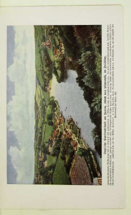 Englische Parklandschaft am Yealm, östlich von Plymouth, im Frühling
