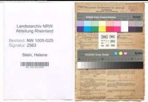 Entnazifizierung Helene Stein , geb. 08.02.1905 (Kauffrau)