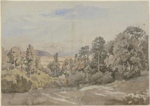 Waldpartie mit Fernsicht