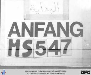 MF Mau 547