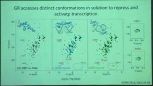 Distal substitutions alter conformational space to create new functions among paralogous transcription factors