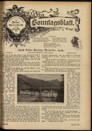 Ausgabe vom Sonntag, den 17. November 1901.