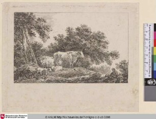 [Landschaft mit Kuhherde]