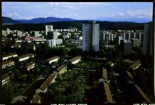 Bern, Bethlehem: Bebauung, Hochhäuser und Reihenhäuser mit Garten, von Wohnung Theile