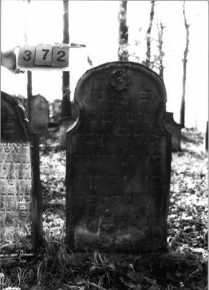 Grabstein 372 (Index: 100115733) Material: Sandstein Zustand: leicht verwittert Maße HxBxT: 99x54x10 cm Beschreibung: aufgesockelte Stele mit konkav eingezogenem Rundbogenabschluß Symbolik: Blüte: Grabstein 372
