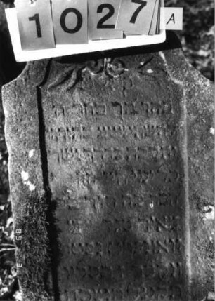 Grabstein 1027 (Index: 99751283) Material: Sandstein Zustand: leicht verwittert/geringer Textverlust Maße HxBxT: 102x54x9 cm Beschreibung: Stele, geschweift eingezogener Rundbogenabschluß, Schriftfeld eingetieft Symbolik: Blätter: Grabstein 1027A