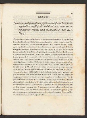 XXXVIII. Plumbum spatosum album fissili-lamellosum, lamellis irregularibus crassiusculis imbricatis ... Tab. XIV. Fig. 32
