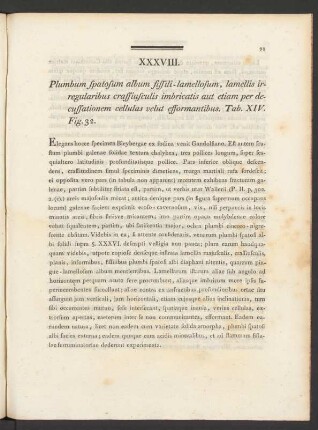 XXXVIII. Plumbum spatosum album fissili-lamellosum, lamellis irregularibus crassiusculis imbricatis ... Tab. XIV. Fig. 32