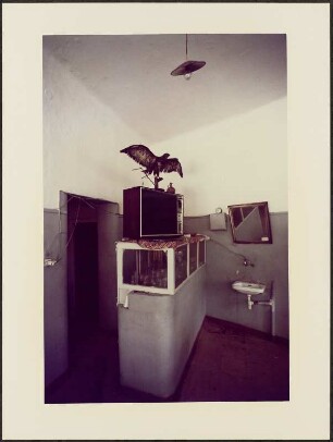 Vitrine mit Gläsern, darauf ein Fernseher und ein ausgestopfter Raubvogel, Kreta