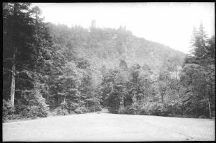 Hassenstein. Ruine vom Platzergrund